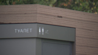 Бизнесмены отказались от установки общественных туалетов в Воронеже