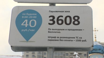 Разрешение на платную парковку в Воронеже можно будет оформить онлайн