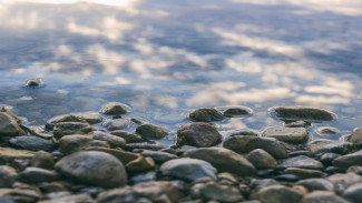 Пересохшее воронежское озеро наполнилось водой спустя 4 года