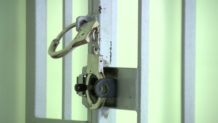 В Воронеже задержали банду контрабандистов