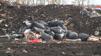 В Воронежской области власти запретили убирать незаконную свалку