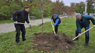 Команда депутатов ДСК благоустроила осенний Воронеж