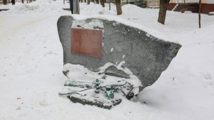 Чиновники обратятся в полицию из-за повреждённой скульптуры в Воронеже