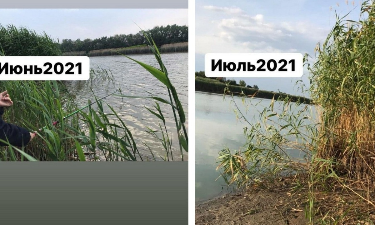 Воронежский фермер продолжил откачивать воду из реки Красной вопреки штрафу  – Новости Воронежа и Воронежской области – Вести Воронеж