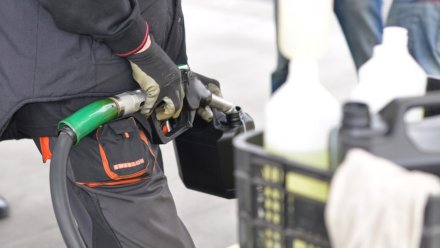 В Воронежской области вновь снизились цены на бензин 
