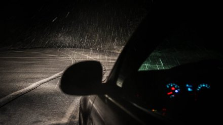 На воронежской трассе ВАЗ влетел в забор во время снегопада: трое в больнице 
