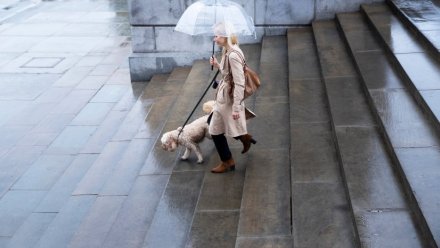 Рекордное тепло сменится в Воронежской области похолоданием