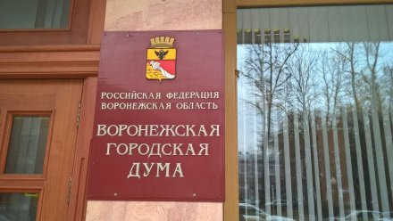 В гордуму поступило ещё одно заявление от кандидата на пост мэра Воронежа