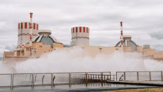 Нововоронежская АЭС выполнила годовой план по выработке электроэнергии 