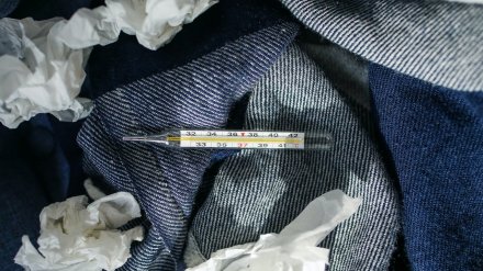 За сутки от коронавируса выздоровели 73 воронежца