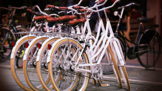 В воронежском «Олимпике» стартовал сезон проката велосипедов и самокатов