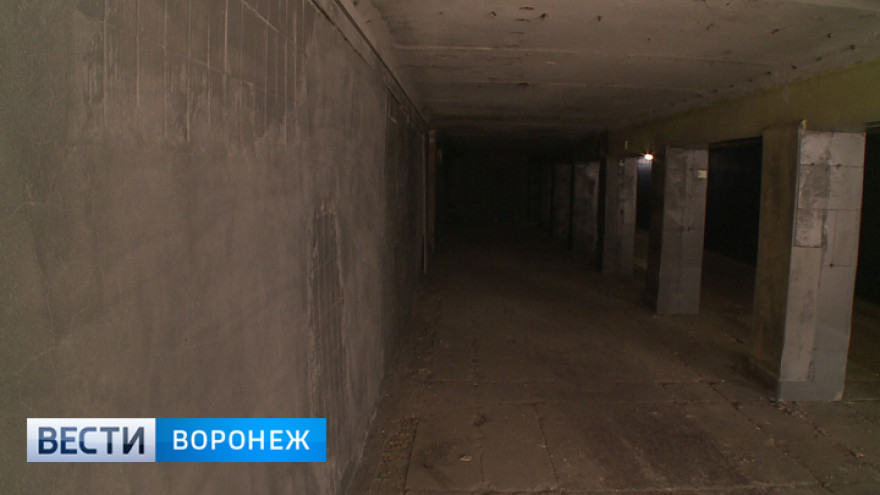 Реконструкцию четырёх подземных переходов в Воронеже оценили в 41 млн рублей