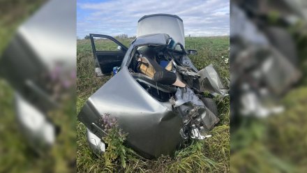 «Ладу Приору» искорёжило в смертельном ДТП с КамАЗом под Воронежем