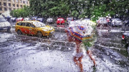 Дожди и грозы в Воронежской области продолжатся на новой рабочей неделе
