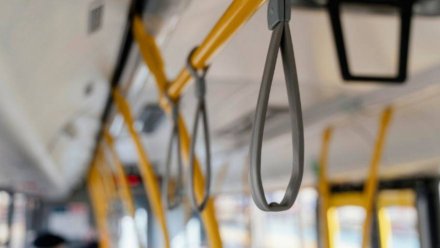 «Ждём по часу». Жители воронежского Борового пожаловались на регулярные задержки автобусов