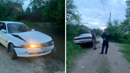 В Воронеже пьяный водитель избил велосипедиста и переехал женщину