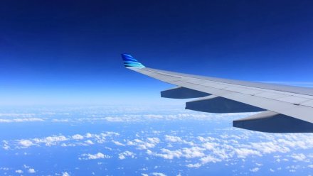 «Уральские авиалинии» объявили об отмене рейсов в Воронеж до октября