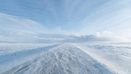 В Воронежской области вновь спрогнозировали сильные порывы ветра