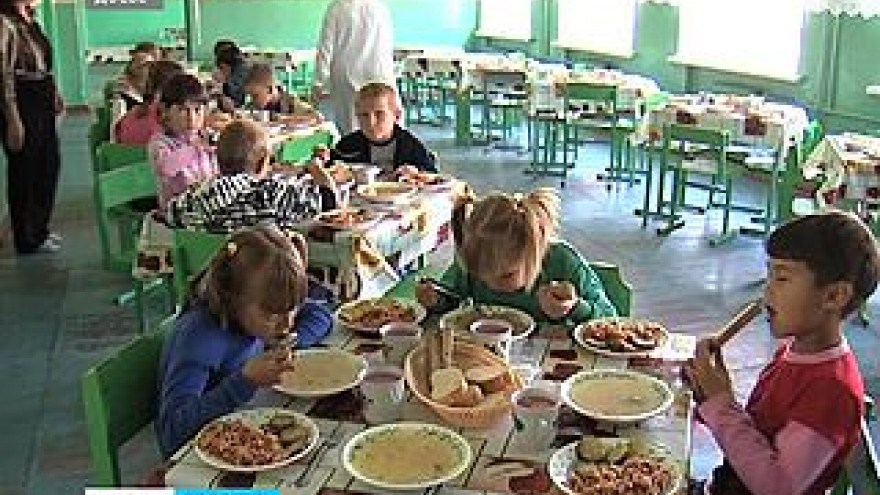 Каши с червями и жуками нашли в меню школ и детских центров