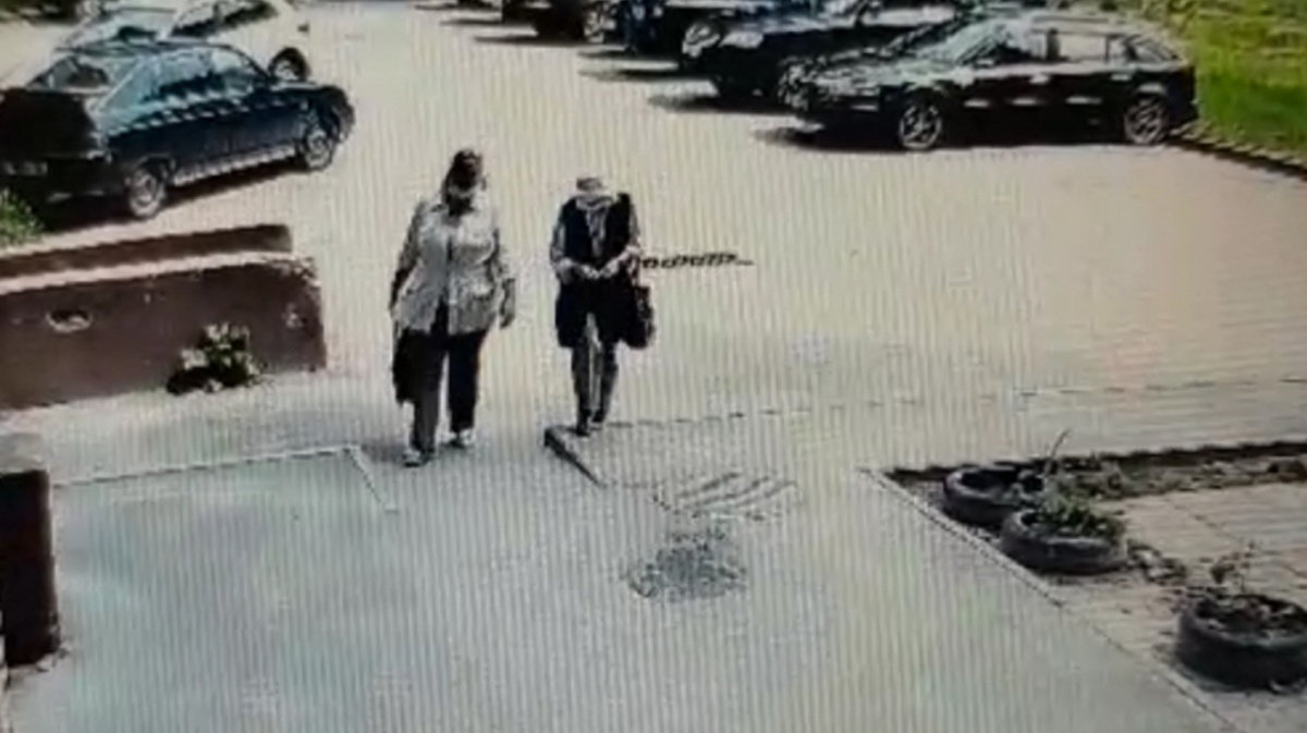 В варанаре паймон нашла рисунок