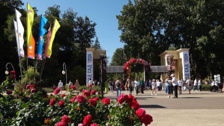 В Воронеже из-за похолодания отменили мастер-классы в двух парках