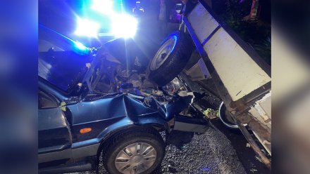 В воронежском посёлке пассажир мотоблока погиб в ДТП с ВАЗ