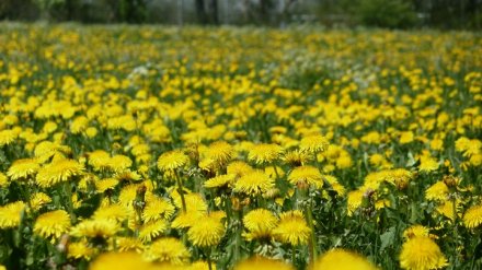 Прогноз погоды на 3.05.2019