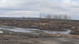 Экологи провели проверку на месте свалки бычьего навоза в селе под Воронежем