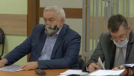 Осуждённый за коррупцию экс-депутат Воронежской облдумы попросил смягчить ему наказание