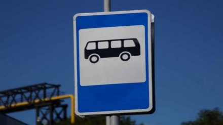 В Воронеже перенесли остановку у Вогрэсовского моста