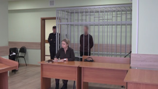 В Воронежской области вынесли приговор курьеру телефонных мошенников