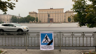 В Воронеже на месте исчезнувших пешеходных переходов установили траурные таблички