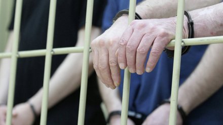 Жертвами орудовавшей в Воронежской области банды рэкетиров стали 30 фермеров