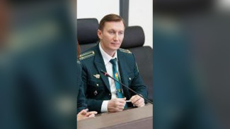 Сообщили о задержании первого замначальника Воронежской таможни с амфетамином