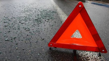 В Воронежской области автобус с 33 пассажирами врезался в «Газель»: есть пострадавшие