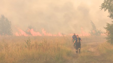 Под Воронежем загорелось поле сухой травы