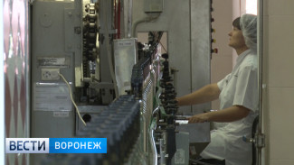 В Воронежской области перезапустят ликёро-водочный завод