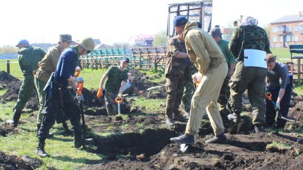 В Воронежской области нашли останки экипажа рухнувшего самолёта