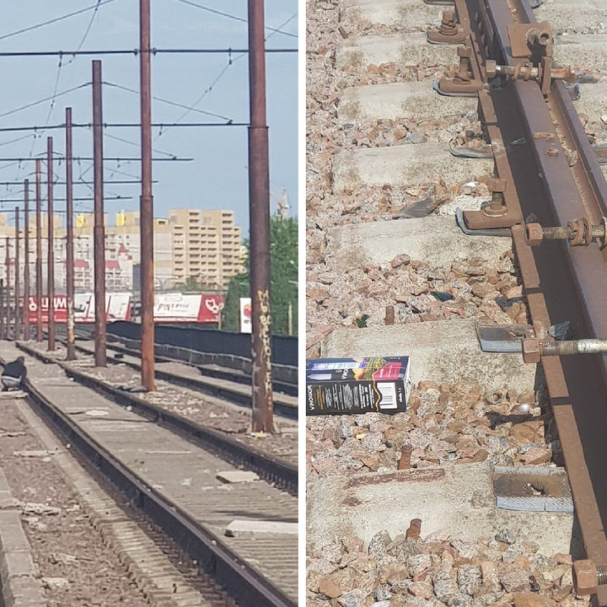 Магазин Днс В Анне Воронежской Области Магазин Днс В Анне Воронежской Области