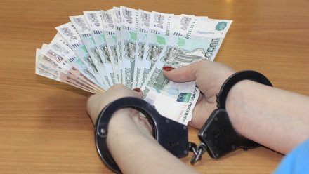 В Воронеже полицейский отказался от взятки в 200 тысяч 