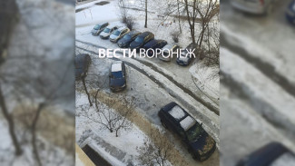 Коммунальная авария превратила двор воронежской многоэтажки в ледяную ловушку
