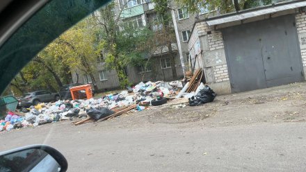 Воронежцы пожаловались на свалку во дворе дома в центре города