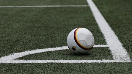 Фанаты воронежского «Факела» потребовали отставки директора клуба и тренера команды