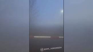 Курскую трассу под Воронежем заволокло дымом из-за тлеющего мусорного полигона