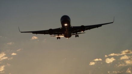 Путешествия больше раза в год смогли позволить себе 40% воронежцев