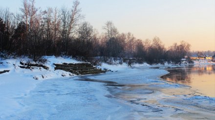 Пропавшего под Воронежем мужчину нашли мёртвым в реке