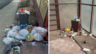 Надземный переход в Воронеже завалили мусором