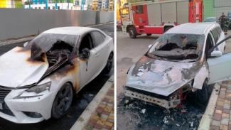 В Воронеже задержали спалившего две иномарки «чёрного мстителя»