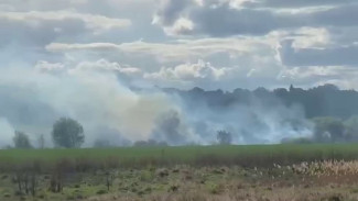 Ландшафтный пожар у Малышевских озёр в Воронеже локализовали