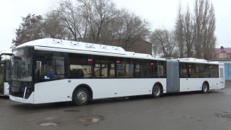 Масштабное обновление. Что изменилось в Воронеже для пассажиров общественного транспорта